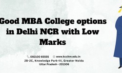 Good MBA College options in Delhi NCR with low marks