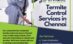 Why Choose Unique Pest Control for Unmatched Termite Control Services in Chennai?