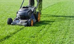 Lawn Looking Lackluster? Get a Lush, Green Oasis with Fast Grass Cutting Services!