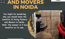 Packers And Movers In Noida - Movers Packers Service Noida