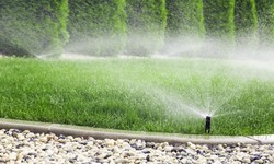 Exploring the Benefits of Sprinklers Installation Services