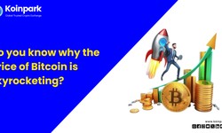 Do you know why the price of Bitcoin is skyrocketing?