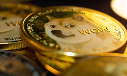 Shiba Inu Cryptocurrency: Everything You Need to Know