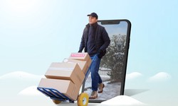 Unleash the Power of Cloud-Based Courier Dispatch Solutions for Small Businesses