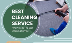 Carpet Cleaning in Maylands: Discover the Magic