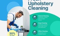 7 Essential Insights on Upholstery Cleaning Brisbane: A Professional Guide