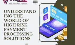 Understanding The World of High Risk Payment Processing Solutions