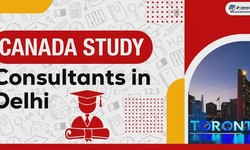 Role of Canada Education Consultants in Delhi