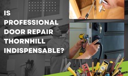 Is Professional Door Repair Thornhill Indispensable?