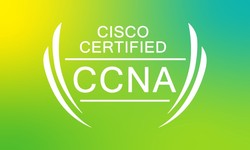 Why Pursue a Cisco CCNA Certification: Advantages and Opportunities