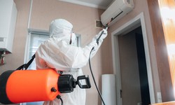 Protecting Your Romsey Property: The Importance of Regular Pest Inspections