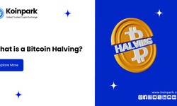 What is a Bitcoin Halving?