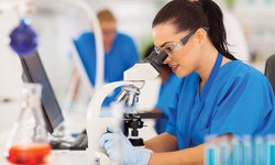 Choosing the Best Lab Equipment Suppliers in Qatar