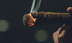 The Art of Rolling Backwoods: Tips and Tricks for Perfecting Your Tobacco Experience