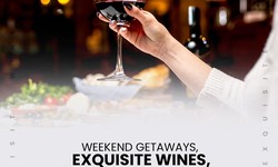 Elevate Your Wine Tour Experience with Seneca Lake Transportation Services