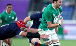 Scotland go down fighting in wasted chance campaign