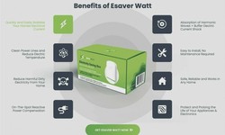 "Maximizing Esaver Watt: Sustainable Solutions for Tomorrow"