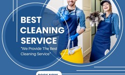 How Professional Upholstery Cleaning Can Benefit You