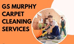 Comprehensive Guide to Carpet Cleaning in Auburn: Tips, Techniques, and Services