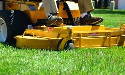 The Benefits of Artificial Turf for Tampa Commercial Properties