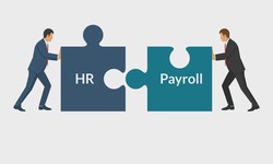 How HR and Payroll Software Can Save Your Small Business a Pittance