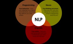 Unleash Your Full Potential: How NLP Training Can Transform Your Life
