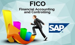 Best ERP SAP FICO Training Course in Noida with Placement Assistance