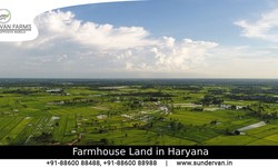 Exploring the Potential of Farmhouse Land in Haryana