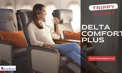 A Comprehensive Comparison: Delta Comfort Plus vs. First Class