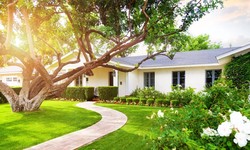 **The Benefits of Residential Tree Trimming and Stump Grinding**
