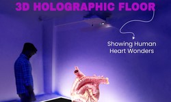 Transform Science Museums with Interactive 3D HOLOGRAPHIC FLOOR