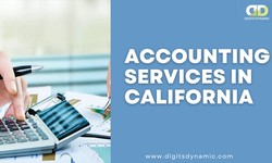 Digits Dynamic: Elevating Accounting Services in California with Precision and Innovation