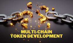 Why Are Developers Focusing on Multi-Chain Token Development?
