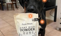 How Milk Powder For Dogs Can Improve Your Dog’s Health and Well-Being