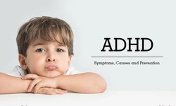 The ADHD Puzzle: Putting Focus and Attention Into Place