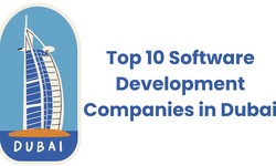 Top 10 Software Development Companies in Dubai