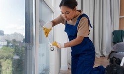 Why Regular Curtain Cleaning is Essential for a Healthy Home Environment