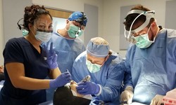 Live Patient Dental Implant Training