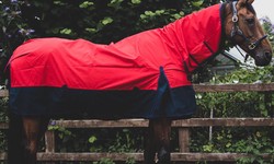Keeping Your Horse Warm and Dry: The Power of a 1200 Denier Turnout Rug