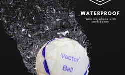 A comprehensive guide for vector ball vision training