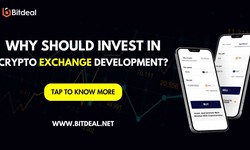 Why Should Invest in Cryptocurrency Exchange Development?