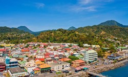 Why Now is the Best Time to Apply for Dominica Citizenship by Investment?