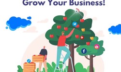Harvesting Leads: Grow Your Business with Qualified Prospects