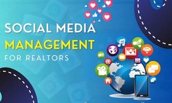 social media management for real estate agents