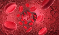 Understanding MCHC in Blood Tests: A Vital Indicator of Overall Health