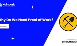 Why Do We Need Proof of Work?