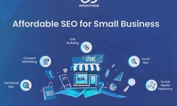 Unveiling the Power of SEO Packages for Small Businesses: A Path to Higher Rankings