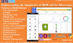 Need for MLM and Its Benefits Explained | Understanding the Importance of MLM and Its Advantages
