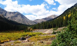 Discovering the Hidden Gems of Half Moon Creek, Colorado: A Journey with Half Moon Packing