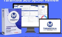 Tarantula SEO Spider Review